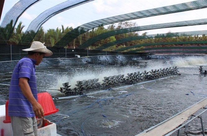 Khó khăn về đất và vốn khiến HTX khó tiếp cận và mở rộng mô hình theo hướng công nghệ cao.