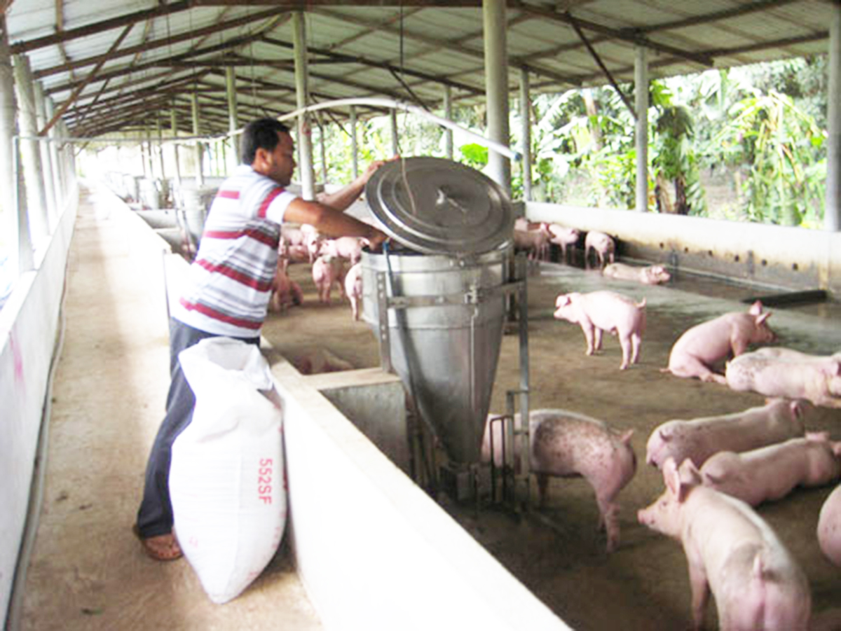 Huyện sẽ thêm các nguồn lực để hỗ trợ kinh tế trang trại phát triển (Ảnh TL).