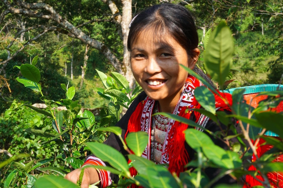 Chương trình OCOP đã góp phần tạo việc làm cho lao động, thúc đẩy phát triển kinh tế nông thôn, đặc biệt là phát huy vai trò của phụ nữ và đồng bào dân tộc thiểu số.