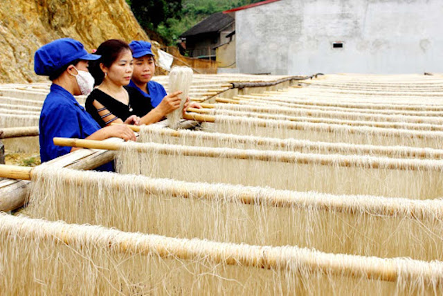 Nhà nước cần xem Chương trình OCOP là một chương trình phát triển kinh tế khu vực nông thôn, miền núi theo hướng phát huy nội lực và nâng cao giá trị gia tăng.