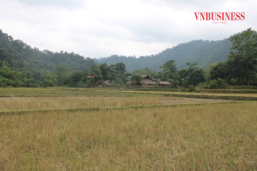 Các chiến sĩ biên phòng giúp dân bản Cò Phạt khai hoang được 6 ha ruộng nước.