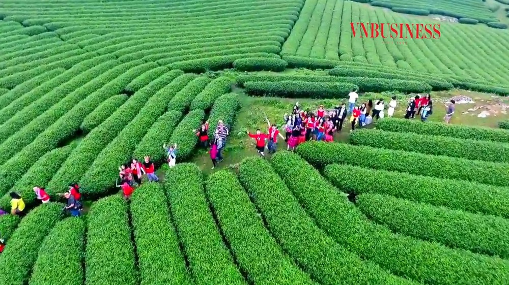 Những đồi chè là điểm nhấn thu hút khách du lịch ở xã Tân Lập.