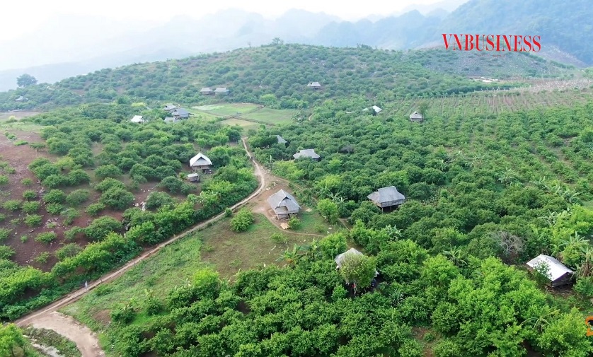 Diện tích sản xuất của HTX Quyết Thanh chủ yếu trên đồi núi cao nên việc vận chuyển nông sản gặp nhiều khó khăn.