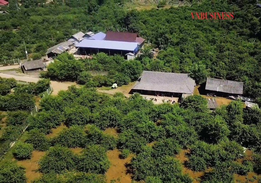 Thung lũng mận Nà Ca (nằm trên đường vào xã Tân Lập) là một trong những vùng cây ăn qủa có giá trị kinh tế và du lịch ở Mộc Châu.