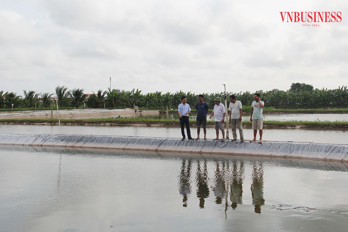 Thành viên HTX Kim Tiến thăm ao nuôi cá.