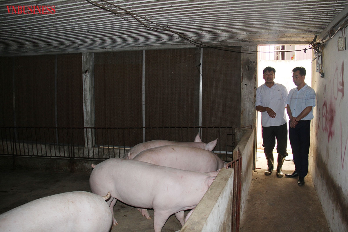 Các HTX trên địa bàn tỉnh Ninh Bình đã hoạt động theo Luật HTX năm 2012 và từng bước mang lại lợi nhuận cho thành viên.