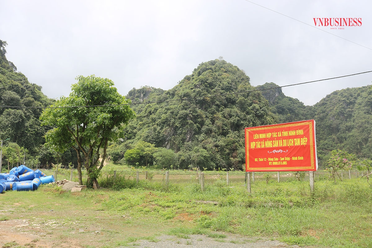 Được vay vốn ưu đãi từ Quỹ tín dụng nhân dân, nhiều HTX đã mở rộng mô hình kinh doanh và mang lại hiệu quả.