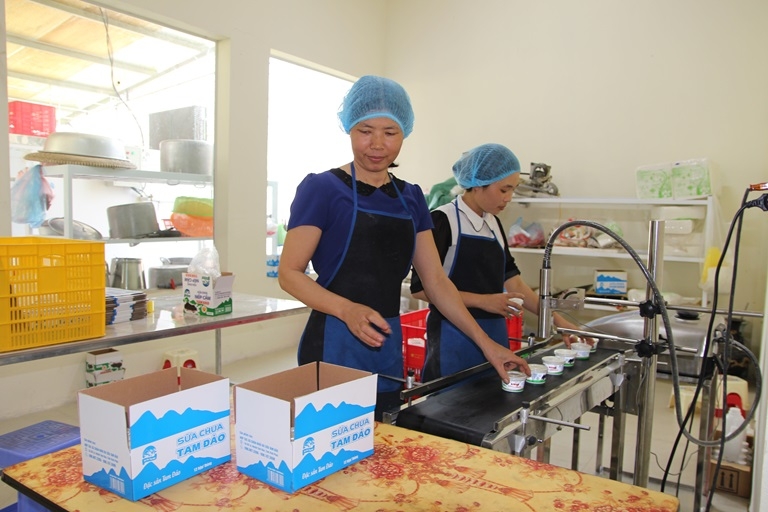 Cần đẩy mạnh phát triển kinh tế hợp tác, HTX vùng dân tộc thiểu số và miền núi để nâng cao thu nhập cho người dân, đảm bảo an sinh xã hội.