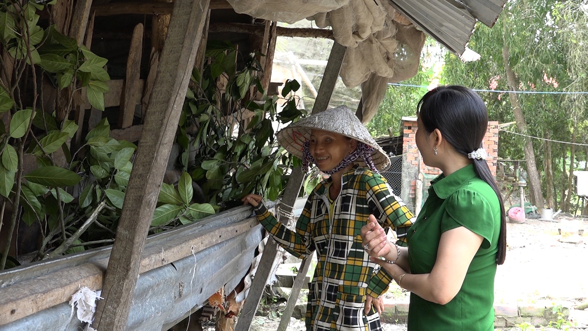 Mô hình nuôi dê đang cho thấy tiềm năng nhân rộng ở Mỹ Phước (Ảnh TL).