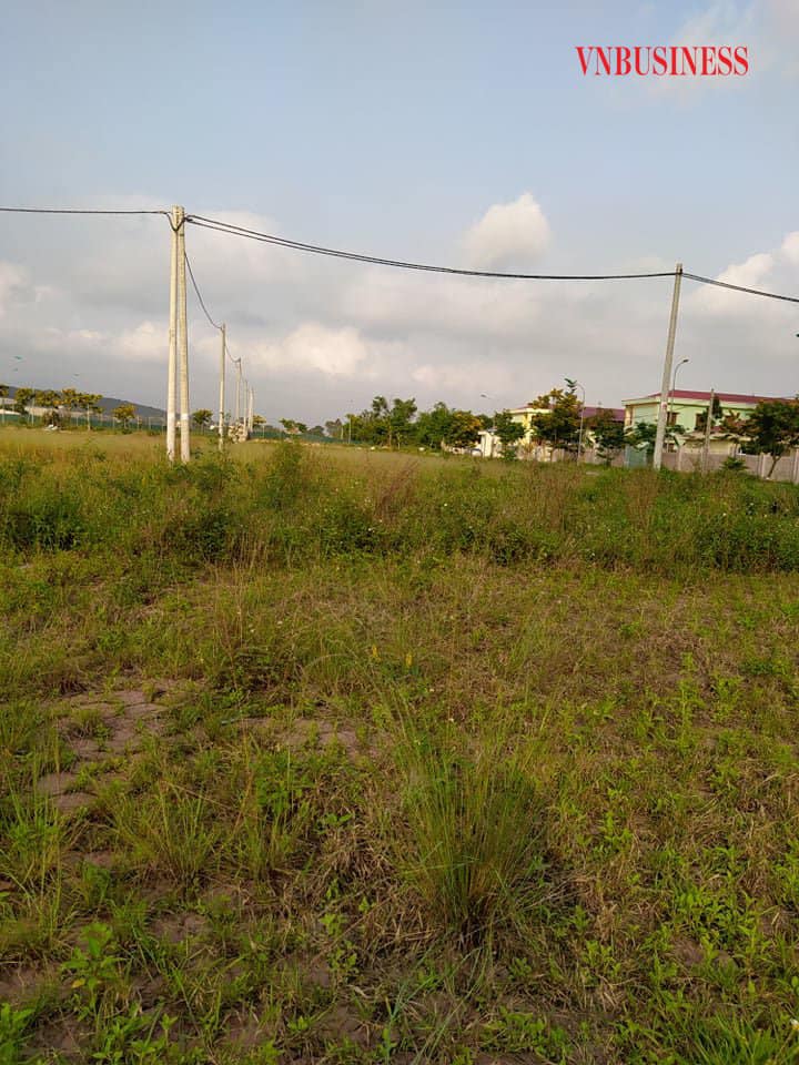 Đường đi lối lại, các lô đất đều có cỏ mọc hoang um tùm. Dự án này trước đây là cánh đồng, địa phương đã chuyển đổi mục đích sử dụng đất và mở bán đấu giá. Tuy nhiên, do dự án không ai có nhu cầu xây dựng, nhu cầu ở nên khách hàng mua ở đây đều là dân đầu tư.