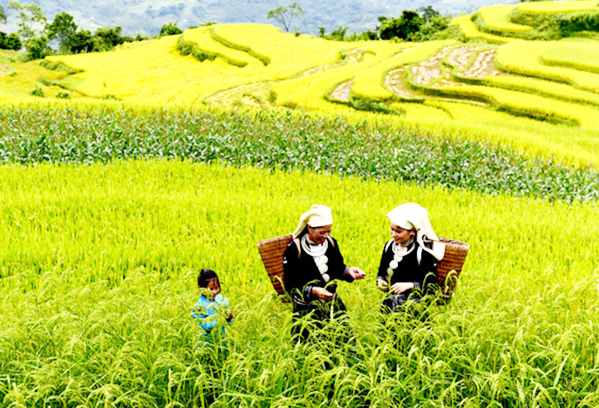 Để phát triển bền vững, xã thực hiện chủ trương Nhà nước và nhân dân cùng làm.