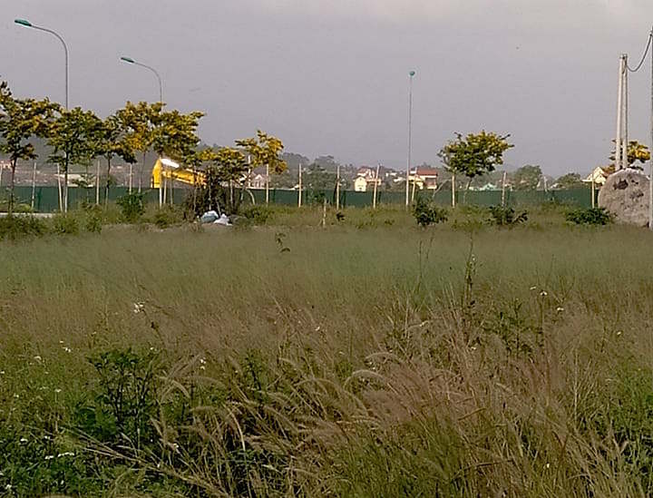 HoREA đề xuất đánh thuế cao những người có hành vi bán nhà đất ngay sau khi tạo lập và đánh thuế cao những người sở hữu nhiều nhà đất, găm đất.