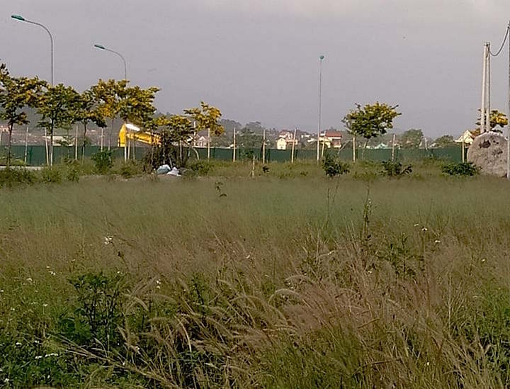 HoREA đề xuất đánh thuế cao những người có hành vi bán nhà đất ngay sau khi tạo lập và đánh thuế cao những người sở hữu nhiều nhà đất, găm đất.