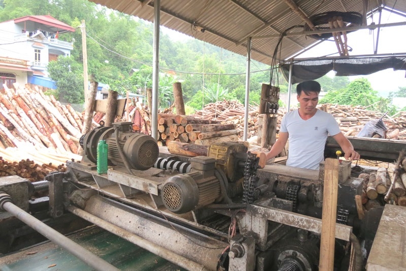 Đầu tư chế biến gỗ ngay tại chỗ giúp nâng cao giá trị lâm sản.