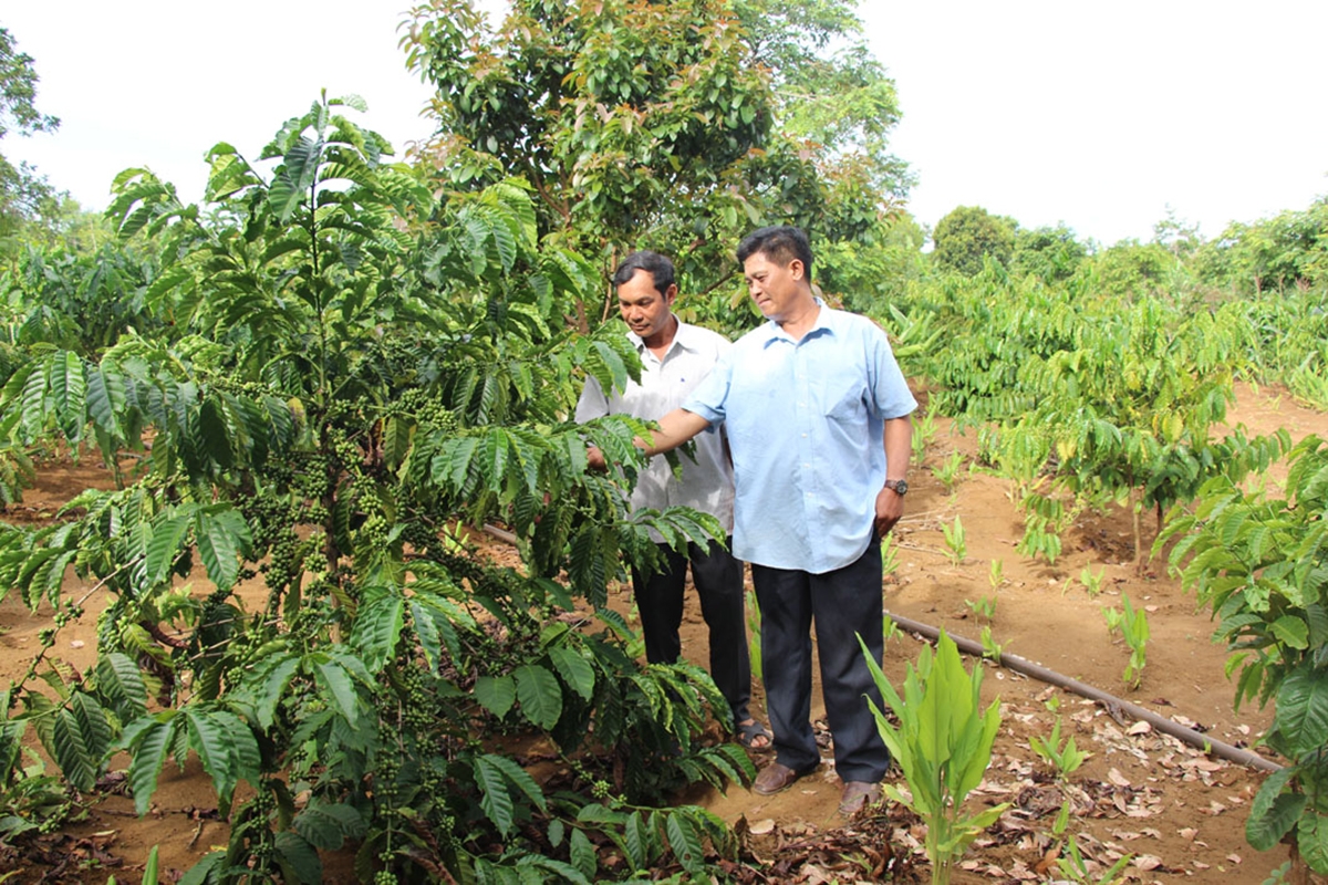 Huyện sẽ tiếp tục phát huy thế mạnh theo vùng, hình thành chuỗi giá trị.