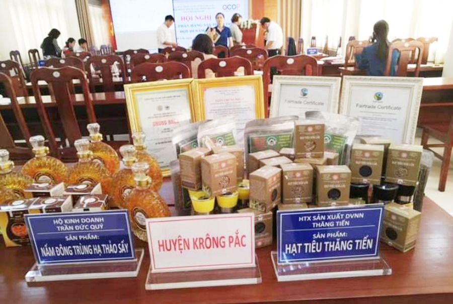 Các sản phẩm OCOP là tiền đề để nông sản huyện Krông Pắc vươn xa trên thị trường.