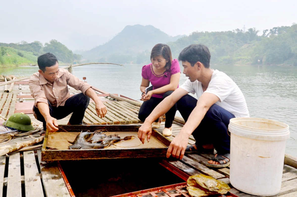 HTX đang tạo ra lợi ích kép cả về kinh tế và môi trường (Ảnh TL).