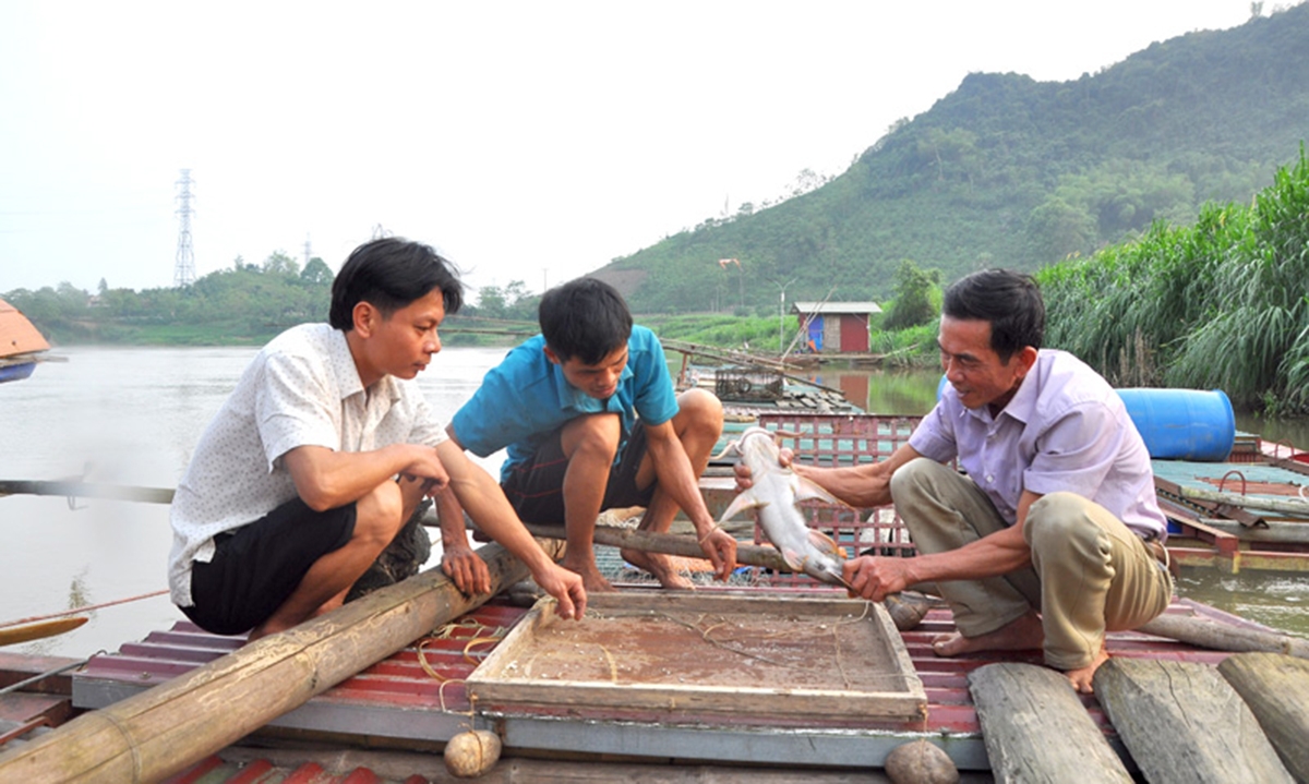HTX đang phát triển ổn định nhờ trình độ kỹ thuật cao. (Ảnh TL).