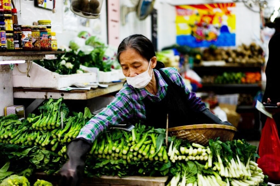 Rau chất lượng cao sẽ được bán tại các cửa hàng rau sạch, giá bán ổn định (Ảnh TL).