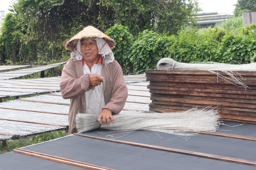 Miến sau khi phơi sẽ được chia thành những bó nhỏ để thuận thiện cho việc vận chuyển và đóng gói.