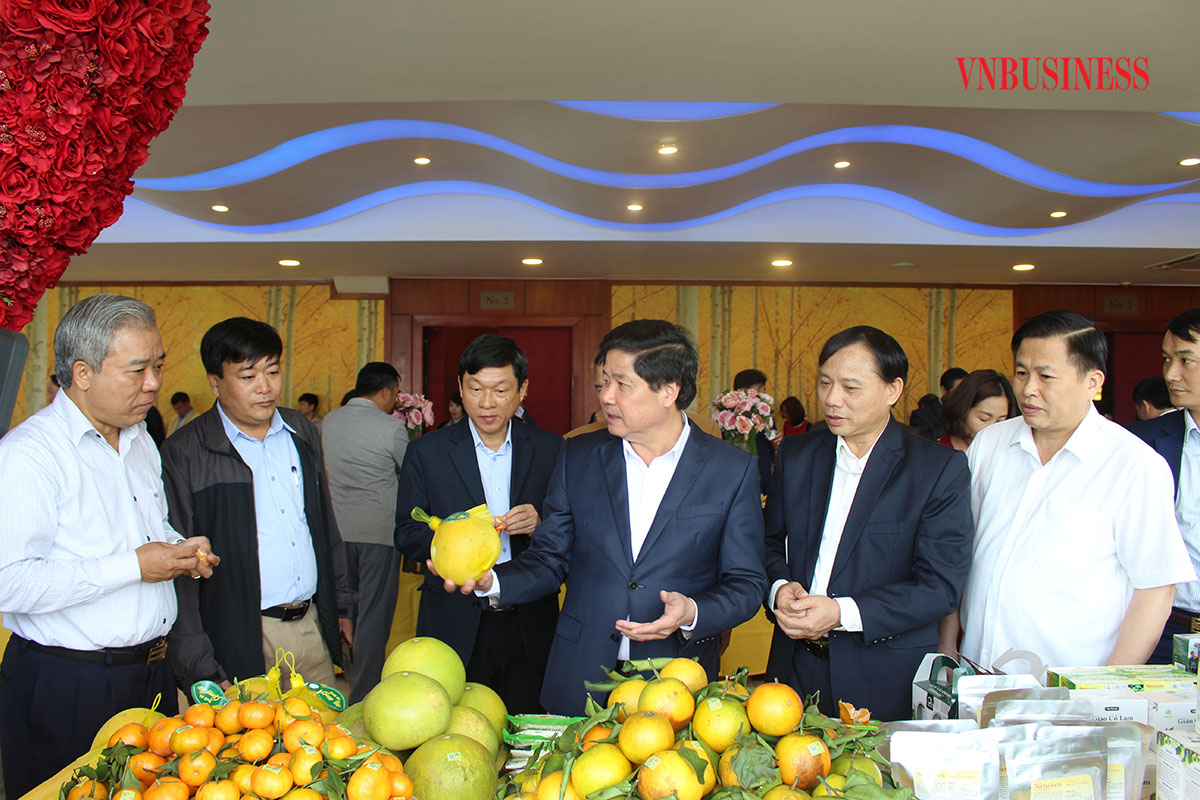 Sản phẩm OCOP 4 sao cam Cao Phong luôn được trưng bày, giới thiệu quảng bá tại nhiều hội chợ thương mại và là niềm tự hào của người dân Hòa Bình.