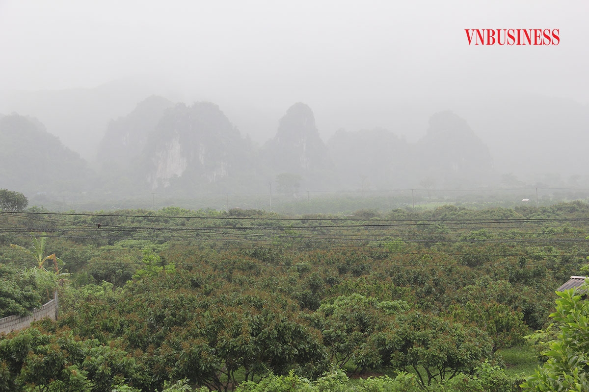 Kinh tế tập thể, HTX trên địa bàn huyện phát triển nhanh và bền vững nhờ sự vào cuộc của cả hệ thống chính trị.