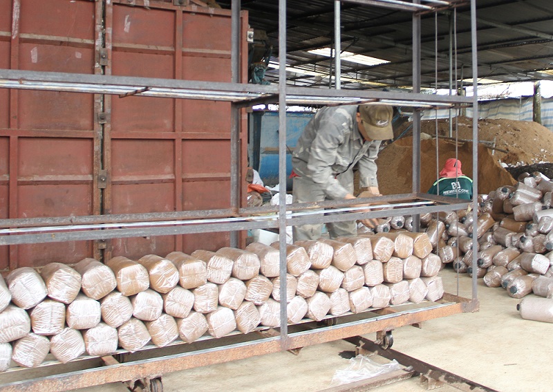 Phế phẩm nông nghiệp là nguyên liệu phục vụ sản xuất nấm hàng hóa hiệu quả.