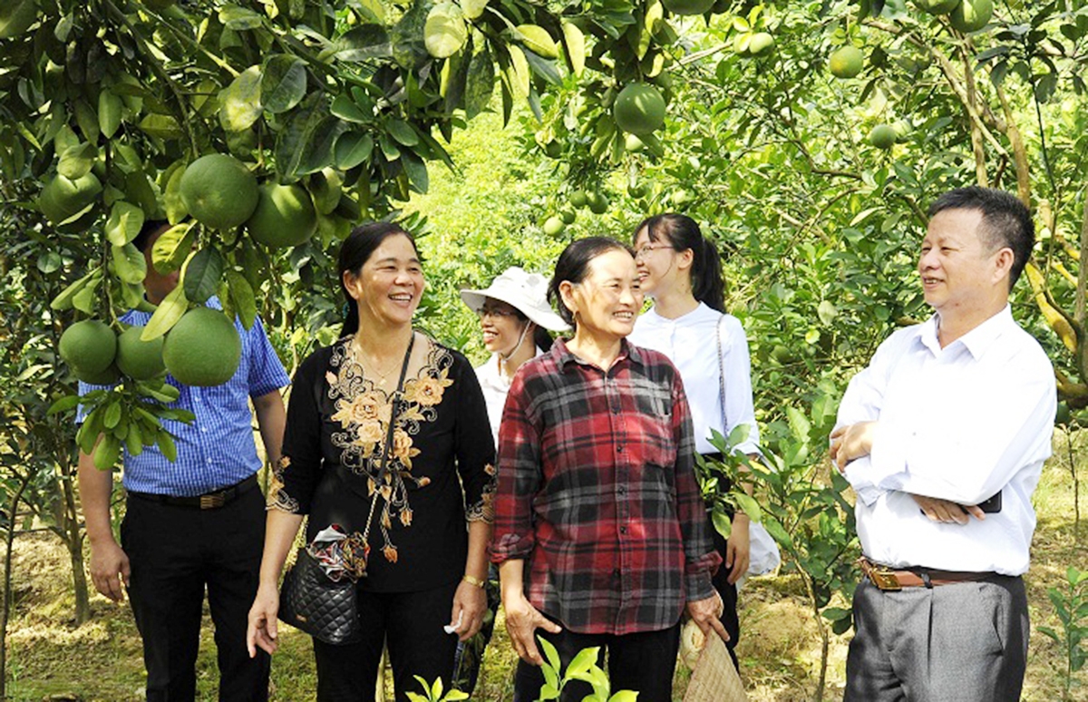 Cần thêm động lực để đánh thức du lịch nông nghiệp sinh thái trên địa bàn xã (Ảnh TL).