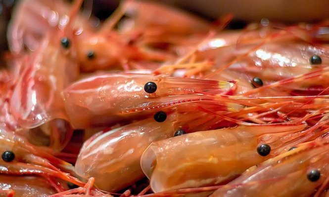 Hiện nay, chỉ mới 55-65% giá trị sản phẩm của con tôm được sử dụng, 35-45% còn lại thường bị bỏ đi.