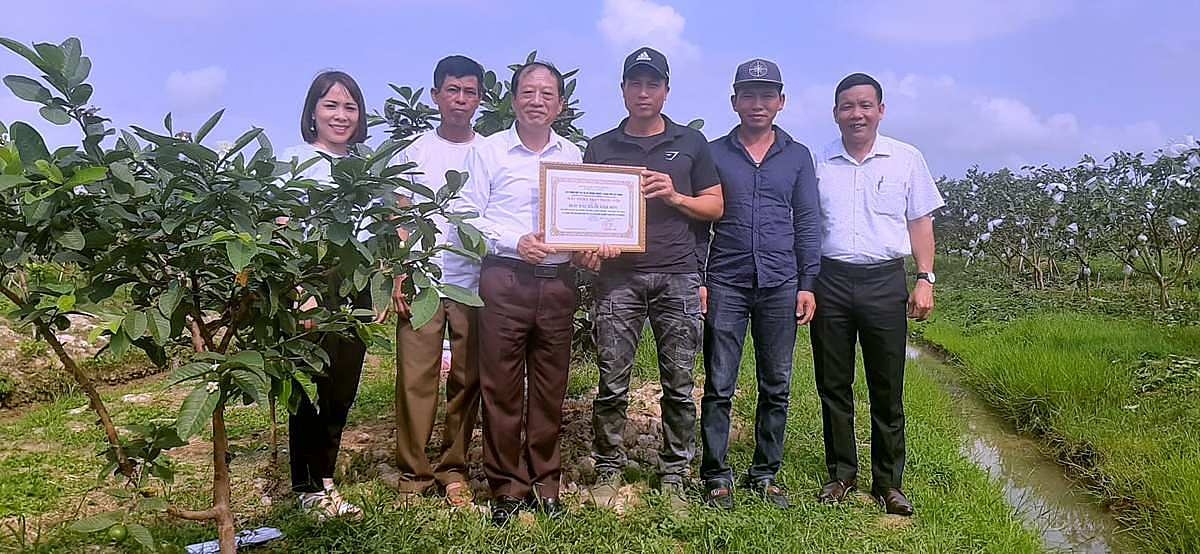 Lãnh đạo Liên minh HTX & DN TP. Hải Phòng trao giấy chứng nhận thành viên cho HTX Ổi Nam Sơn huyện Vĩnh Bảo, TP Hải Phòng.