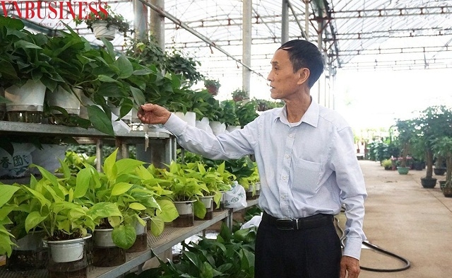 Theo ông Nguyễn Chí Hiếu, do sự nhạy bén, nắm bắt xu hướng thị trường, các sản phẩm hoa, cây cảnh ở Xuân Quan được thị trường cả nước ưa chuộng.