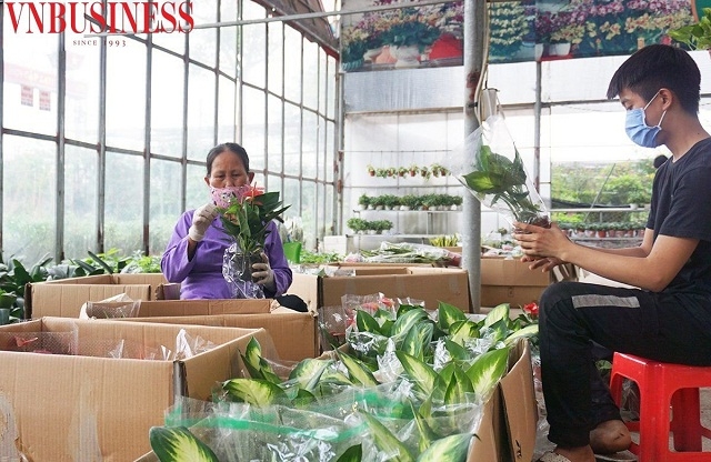 Làng nghề hoa Xuân Quan tạo việc làm cho hàng nghìn lao động với mức thu nhập trung bình từ 5-6 triệu đồng/tháng.