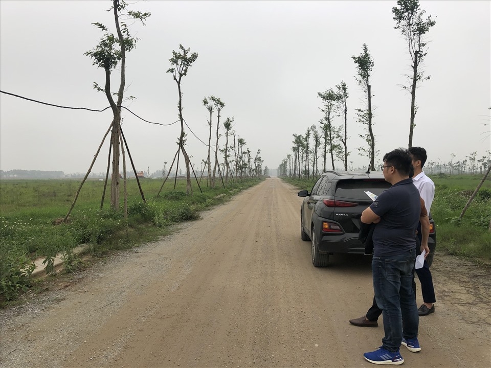 Phó Thủ tướng yêu cầu các cơ quan chức năng xử lý nghiêm các đối tượng lợi dụng thông tin để đẩy giá bất động sản lên cao (Ảnh minh họa: Int)