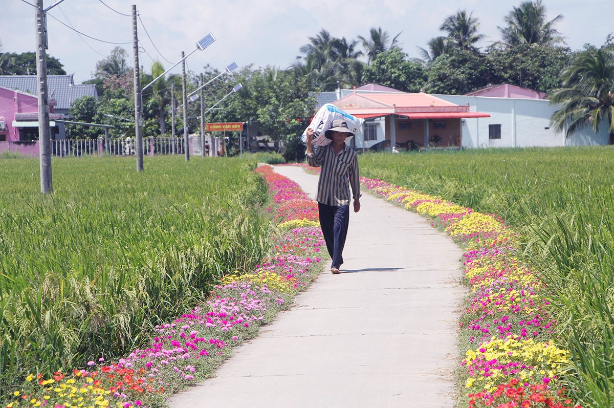 Diện mạo nông nghiệp, nông thôn, đặc biệt là đời sống đồng bào dân tộc thiểu số huyện Cờ Đỏ đang chuyển biến tích cực.