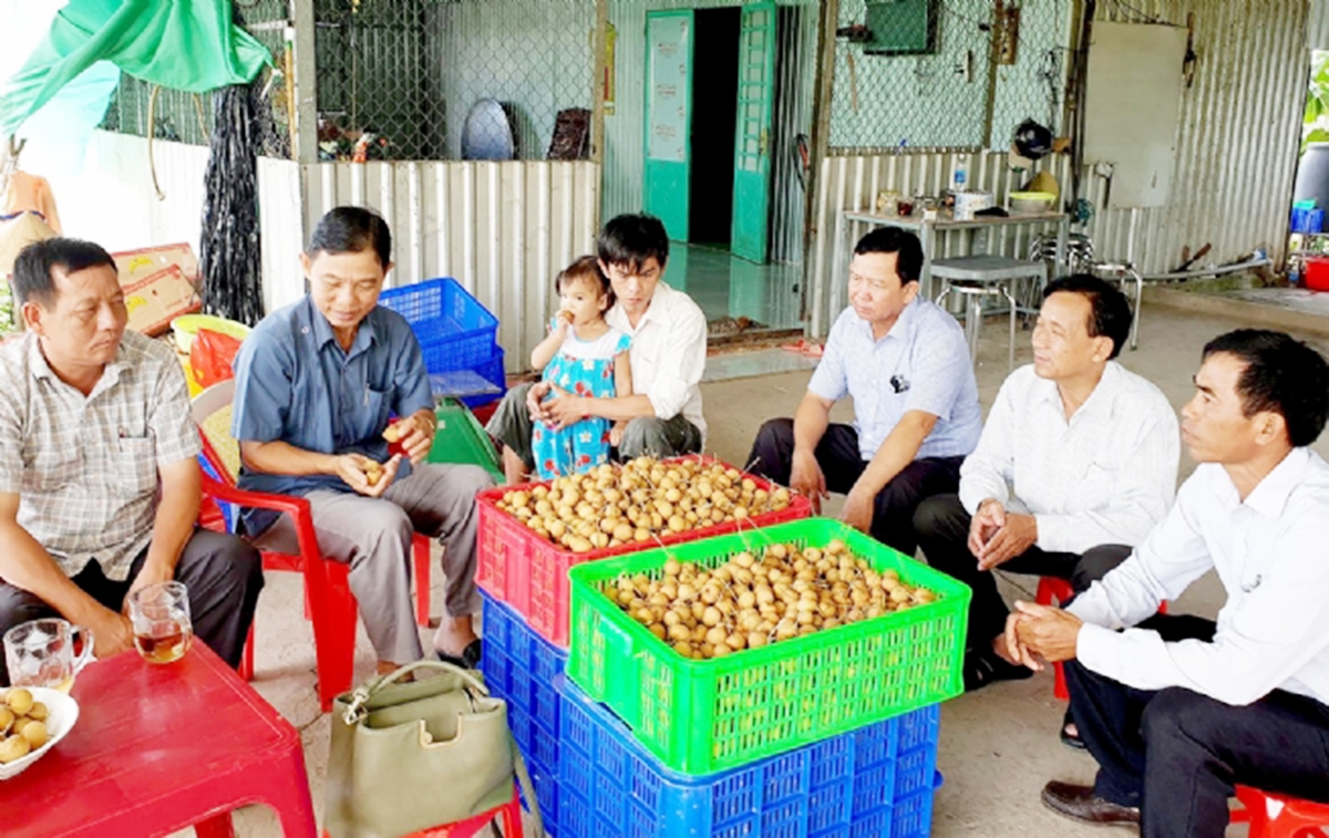 Các HTX sẽ được tiếp thêm động lực để nâng cao năng lực, dẫn dắt nông dân địa phương làm giàu.