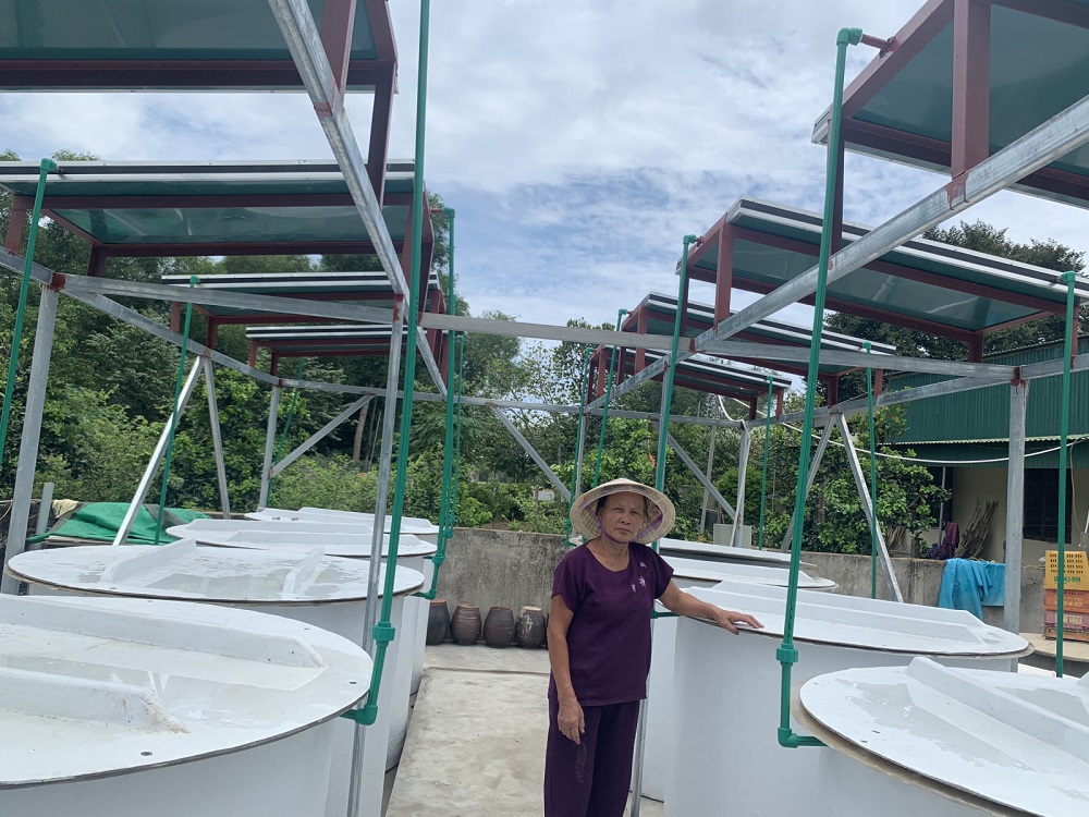 Hệ thống năng lượng mặt trời giúp nâng cao hiệu quả sản xuất nước mắm và góp phần bảo vệ môi trường.