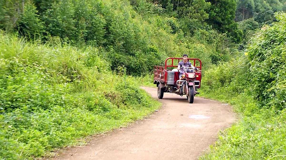 Nhiều HTX vùng đồng bào DTTS thiếu phương tiện vận chuyển vật tư .