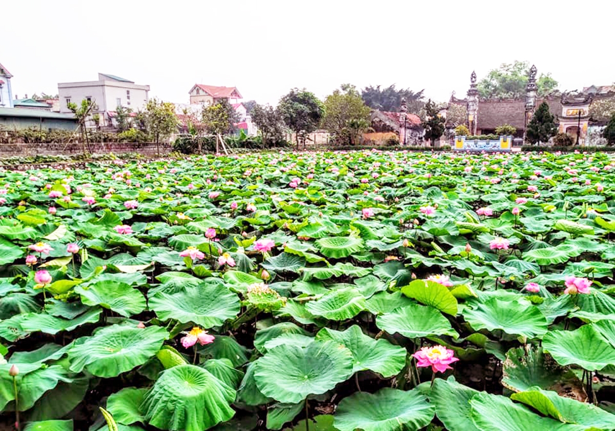 Cảnh quan thiên nhiên và các di tích lịch sử, văn hóa là cơ sở để xã tiếp tục phát triển du lịch sinh thái (Ảnh TL).