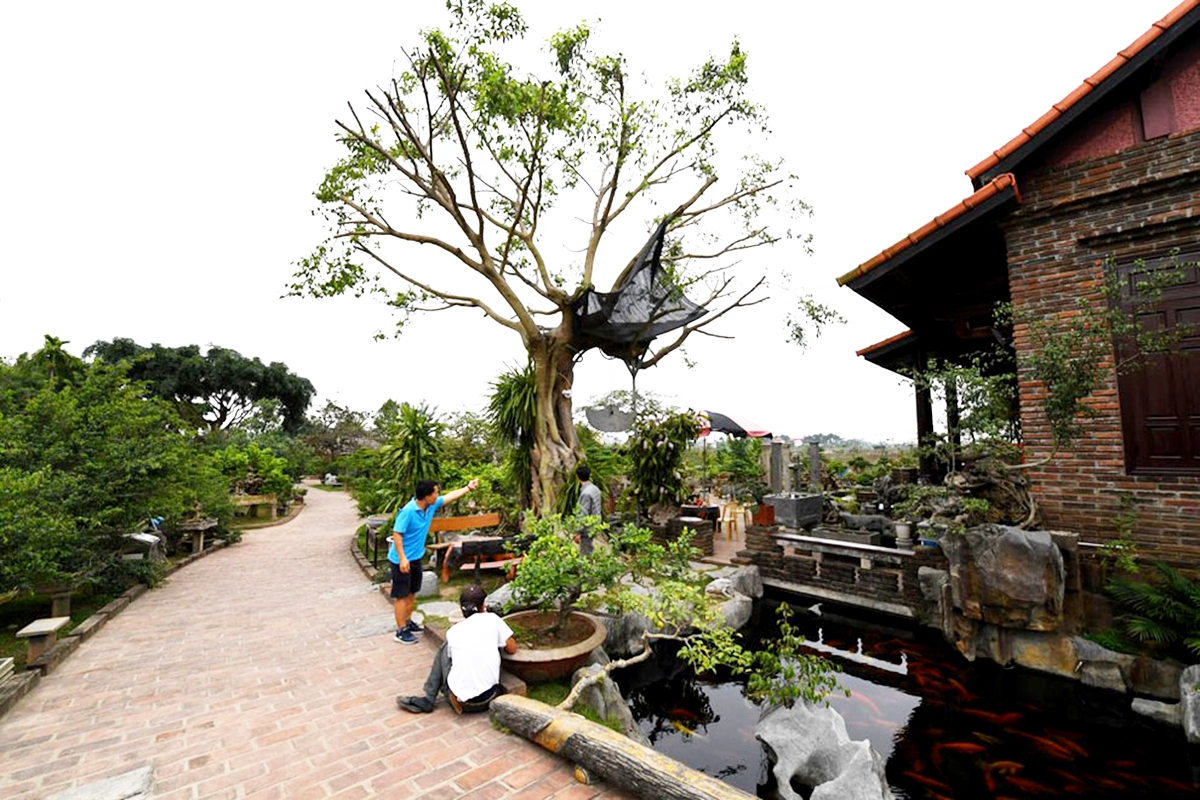 Các mô hình sinh vật cảnh ở Hồng Vân đang thu hút khách tham quan (Ảnh TL).