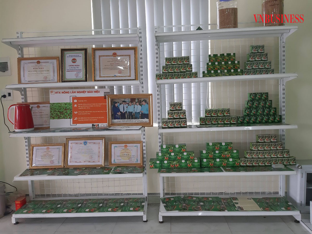 Gian hàng trưng bày sản phẩm cà gai leo của HTX Yên Thủy.