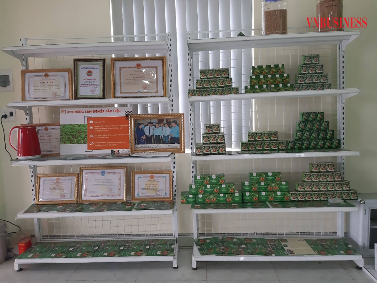 Gian hàng trưng bày sản phẩm cà gai leo của HTX Yên Thủy.