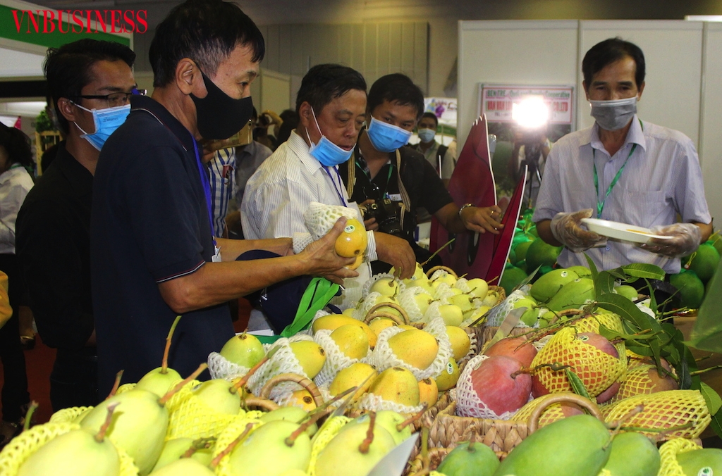 Áp lực cạnh tranh đang gia tăng đối với ngành hàng xuất khẩu xoài.