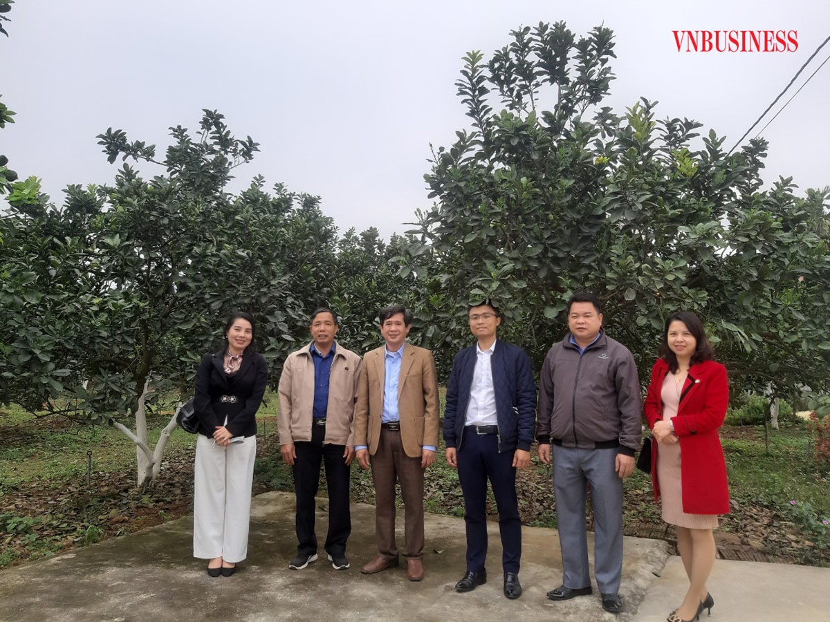 Cán bộ Liên minh HTX tỉnh Hòa Bình khảo sát việc sản xuất, kinh doanh của HTX nông nghiệp Mỹ Tân.