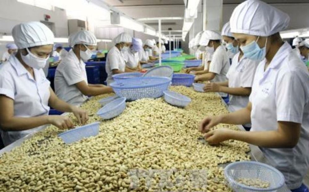 Trong 4 tháng đầu năm 2021, nhập khẩu điều thô đạt gần 1,2 triệu tấn, kim ngạch 1,881 tỷ USD, tăng lần lượt 400% và 423% so với cùng kỳ năm 2020 (Ảnh: Int)