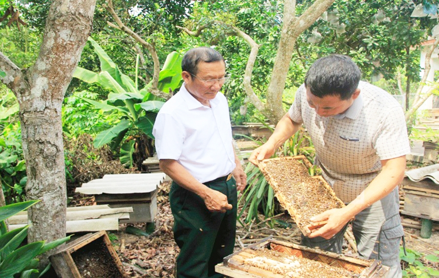 Các sản phẩm thế mạnh sẽ tiếp tục được huyện nâng tầm để mang lại thu nhập cao hơn cho người dân.
