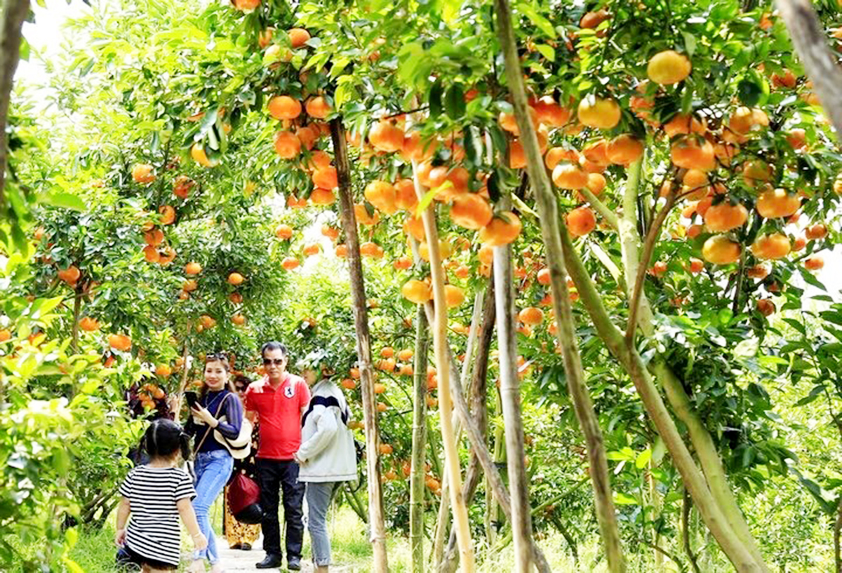 HTX sẽ tiếp tục hoàn thiện dịch vụ để thu hút thêm khách du lịch trải nghiệm (Ảnh TL).