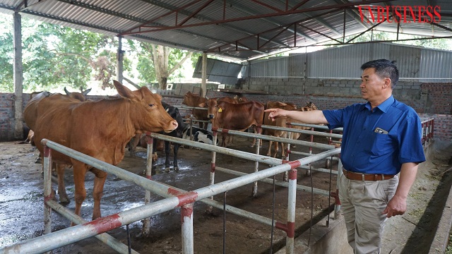 Trang trại của ông Quách Phúc Vinh- Giám đốc HTX Nông nghiệp Phú Mãn.