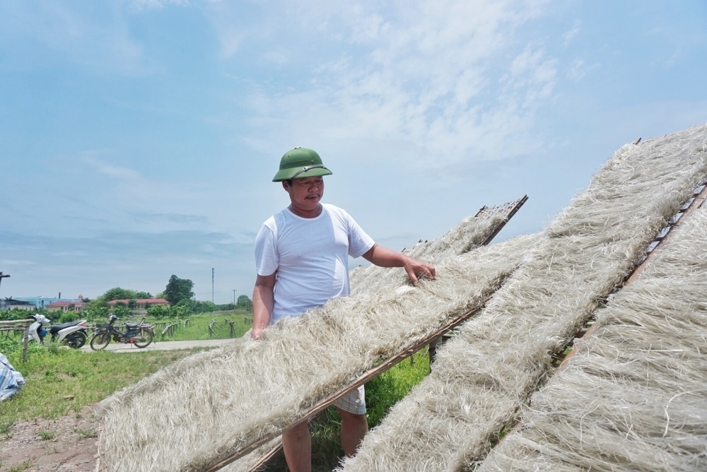 Sản xuất miến theo hướng bền vững vừa nâng cao hiệu quả kinh tế, vừa phát triển nghề truyền thống.
