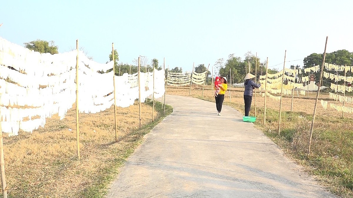 Củ cải Đầm Hà luôn được người tiêu dùng đánh giá cao.