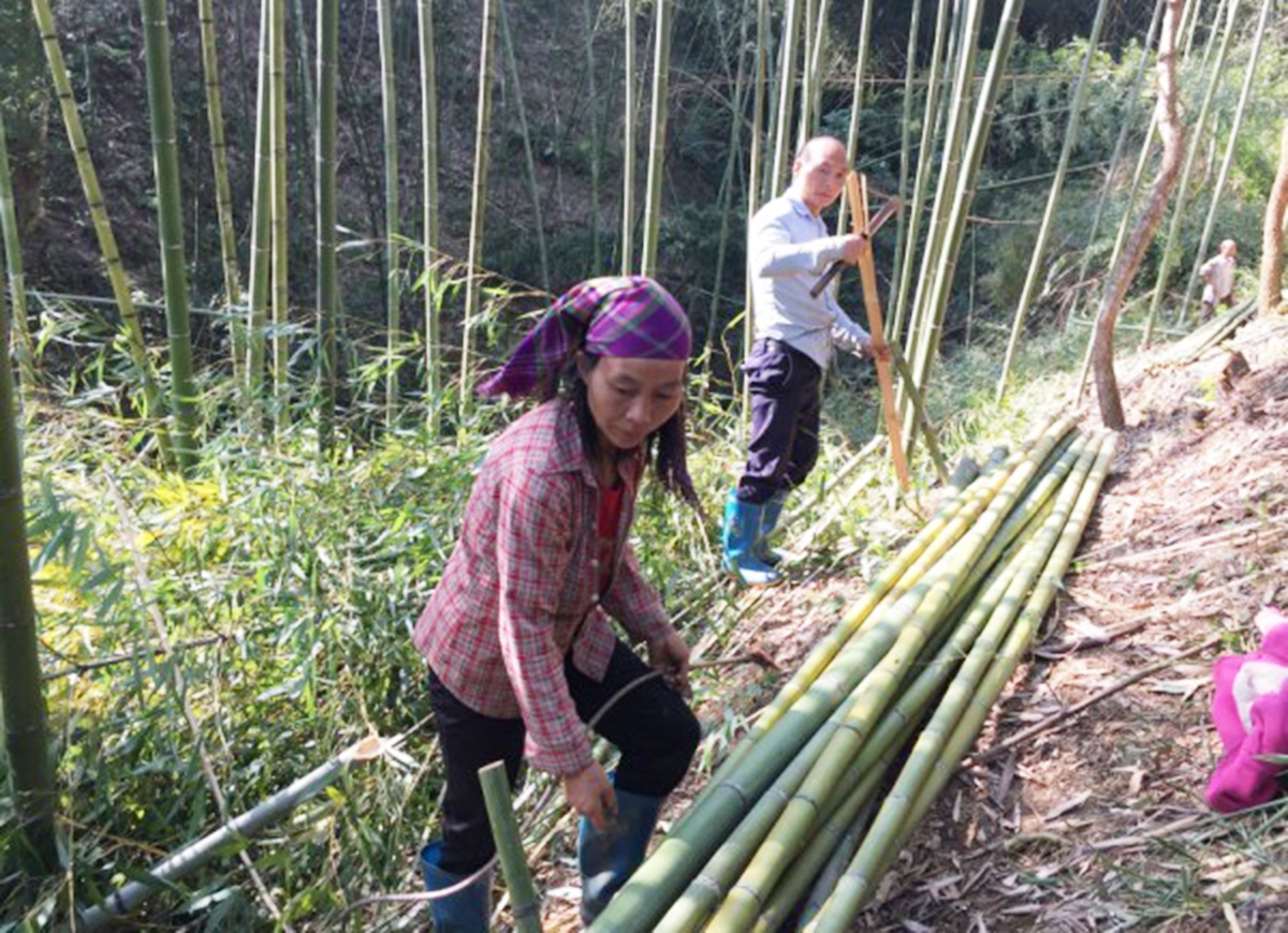 Các mô hình trồng trọt trên địa bàn huyện sẽ được thúc đẩy theo hướng hàng hóa.